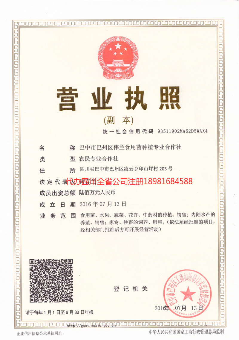 阿勒泰市阿勒泰市伟兰食用菌种植专业合作社